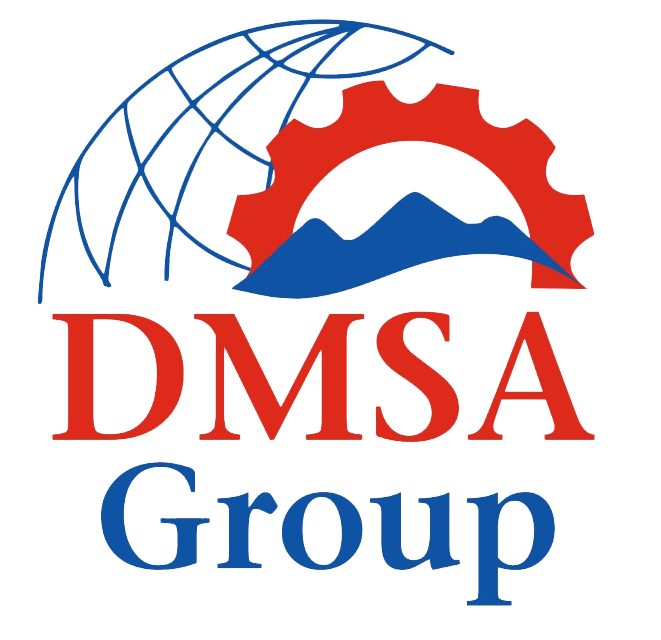 DMSA GROUP LLC